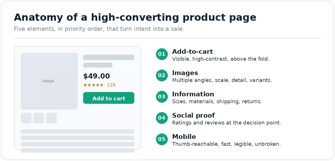 anatomy-product details